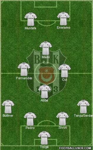 Besiktas JK Formation 2013