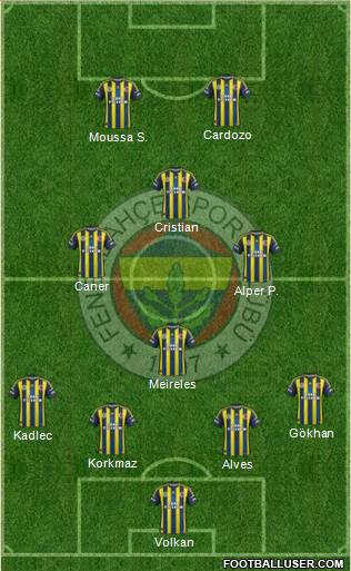 Fenerbahçe SK Formation 2013
