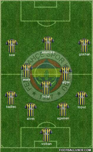 Fenerbahçe SK Formation 2013