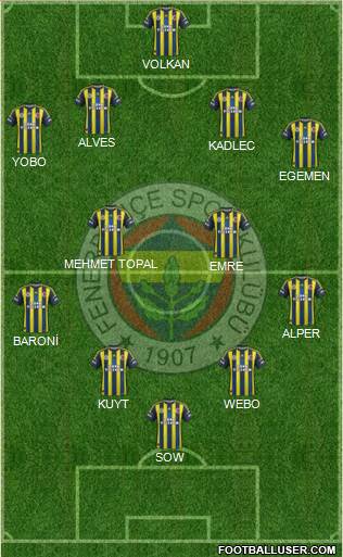 Fenerbahçe SK Formation 2013