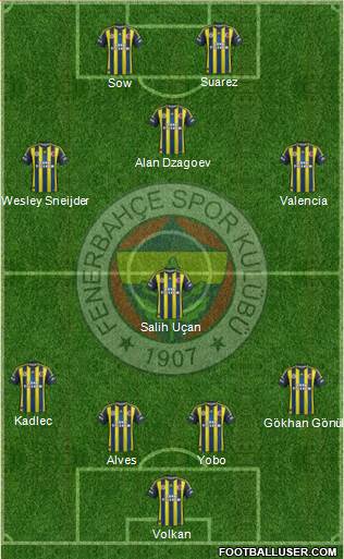 Fenerbahçe SK Formation 2013