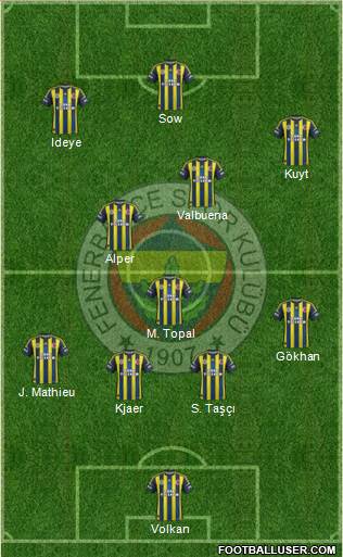 Fenerbahçe SK Formation 2013