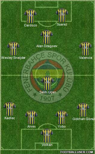 Fenerbahçe SK Formation 2013