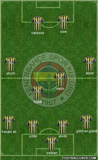 Fenerbahçe SK Formation 2013