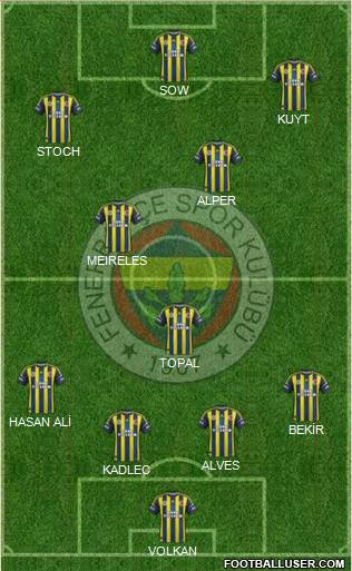Fenerbahçe SK Formation 2013