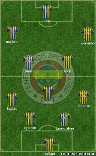 Fenerbahçe SK Formation 2013