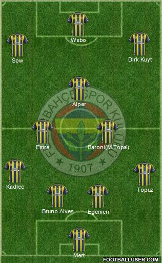 Fenerbahçe SK Formation 2013