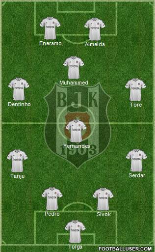 Besiktas JK Formation 2013