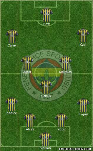Fenerbahçe SK Formation 2013