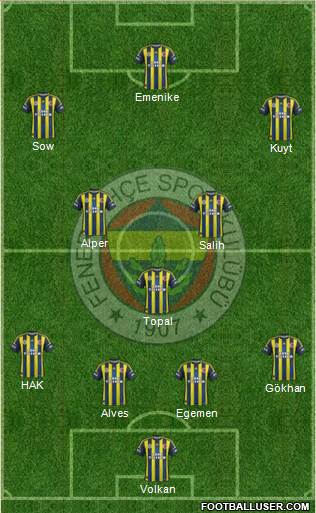 Fenerbahçe SK Formation 2013