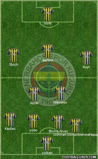 Fenerbahçe SK Formation 2013