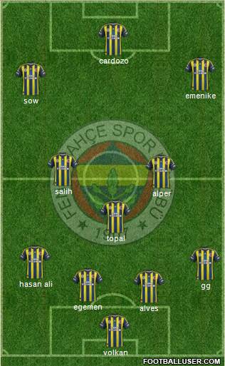 Fenerbahçe SK Formation 2013