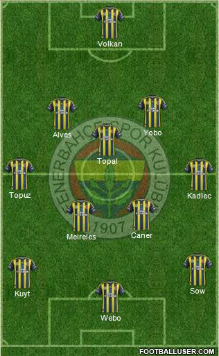 Fenerbahçe SK Formation 2013