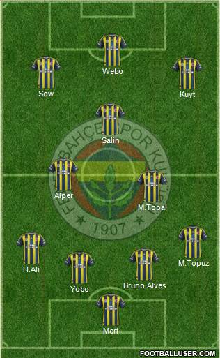 Fenerbahçe SK Formation 2013