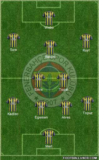 Fenerbahçe SK Formation 2013