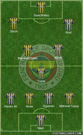 Fenerbahçe SK Formation 2013
