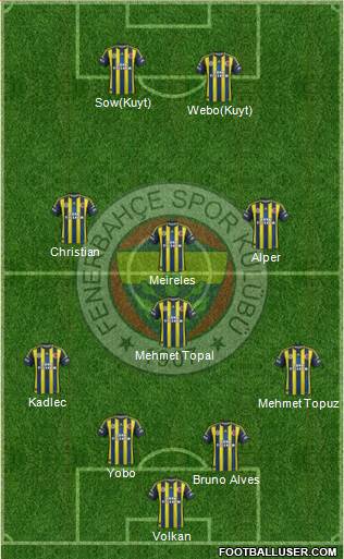 Fenerbahçe SK Formation 2013