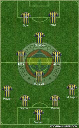 Fenerbahçe SK Formation 2013