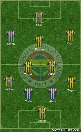 Fenerbahçe SK Formation 2013