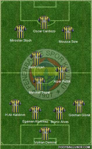 Fenerbahçe SK Formation 2013