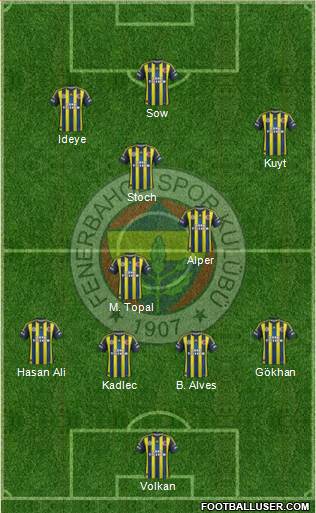 Fenerbahçe SK Formation 2013