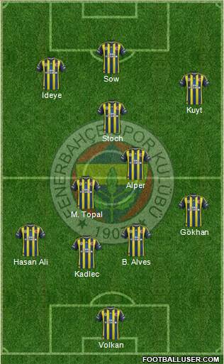 Fenerbahçe SK Formation 2013