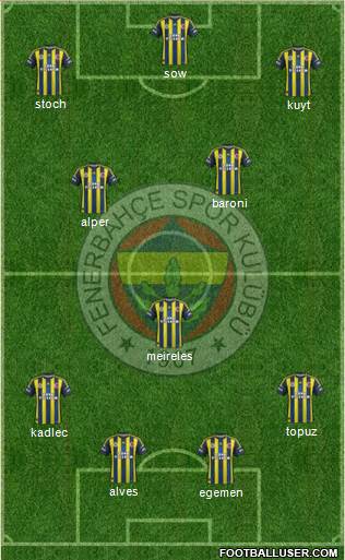 Fenerbahçe SK Formation 2013