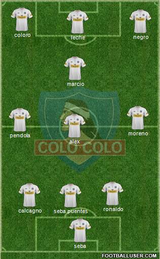 CSD Colo Colo Formation 2013