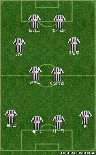 Newcastle United Formation 2013