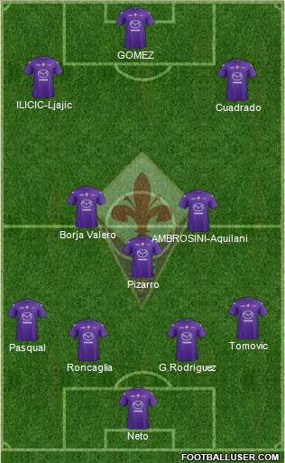 Fiorentina Formation 2013