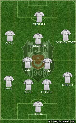 Besiktas JK Formation 2013