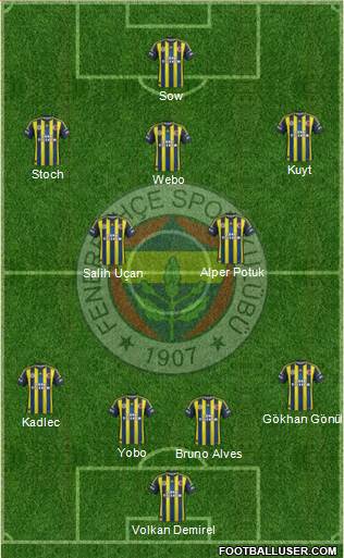 Fenerbahçe SK Formation 2013