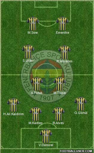 Fenerbahçe SK Formation 2013