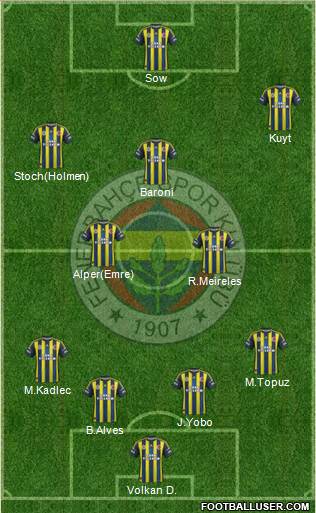 Fenerbahçe SK Formation 2013