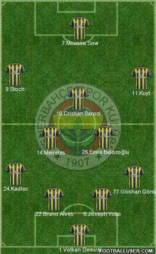 Fenerbahçe SK Formation 2013