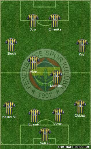 Fenerbahçe SK Formation 2013