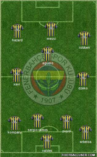 Fenerbahçe SK Formation 2013