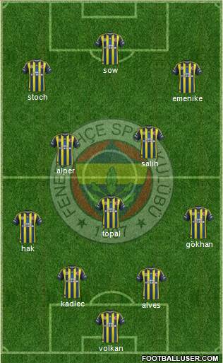 Fenerbahçe SK Formation 2013