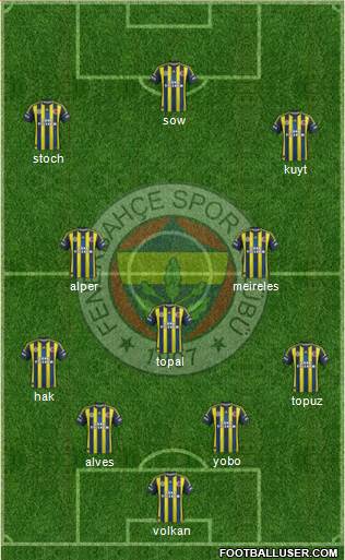 Fenerbahçe SK Formation 2013