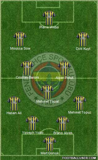 Fenerbahçe SK Formation 2013