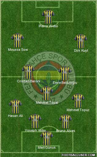 Fenerbahçe SK Formation 2013