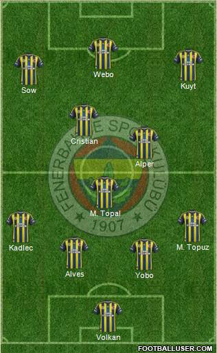 Fenerbahçe SK Formation 2013