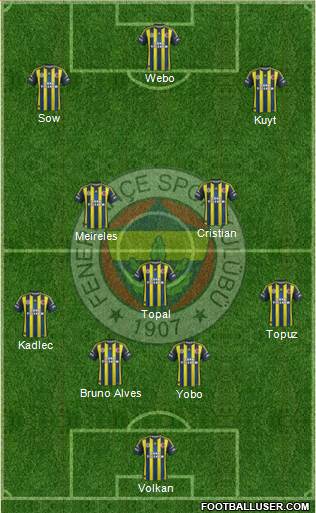 Fenerbahçe SK Formation 2013