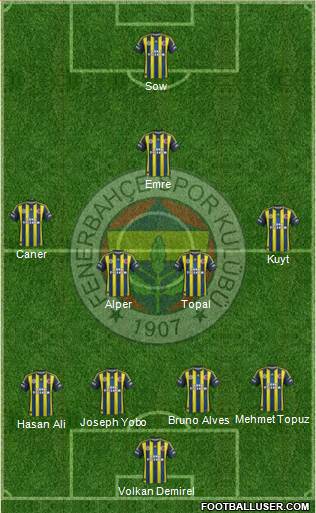 Fenerbahçe SK Formation 2013