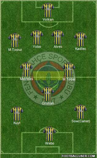Fenerbahçe SK Formation 2013
