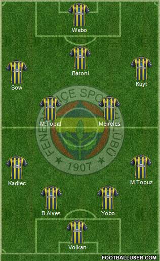 Fenerbahçe SK Formation 2013