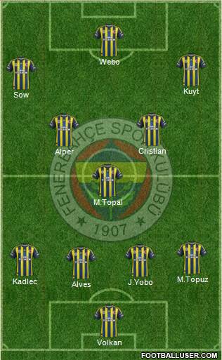 Fenerbahçe SK Formation 2013