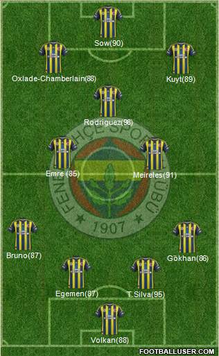 Fenerbahçe SK Formation 2013
