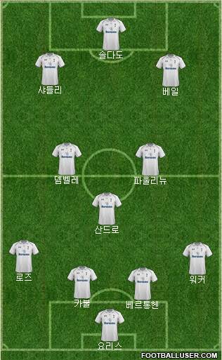 Tottenham Hotspur Formation 2013