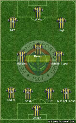 Fenerbahçe SK Formation 2013